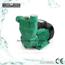 Domestic Water Pressure Boosting Pump